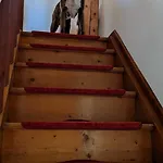 Apartman House Flora - At Traunsee Altmünster