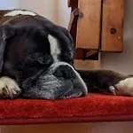 Apartman House Flora - At Traunsee Altmünster