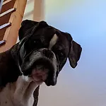 House Flora - At Traunsee Apartman *