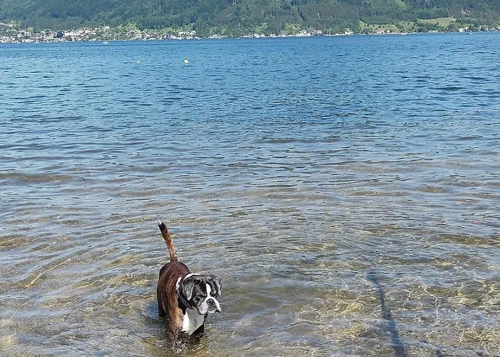 House Flora - At Traunsee