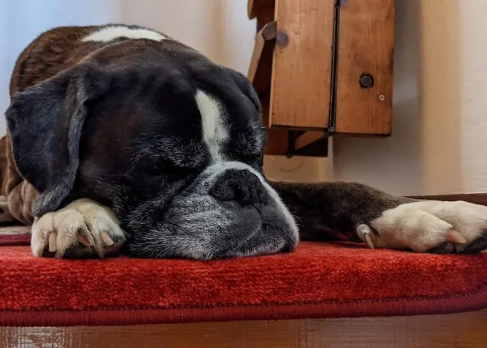 公寓 House Flora - At Traunsee 阿尔特穆斯特