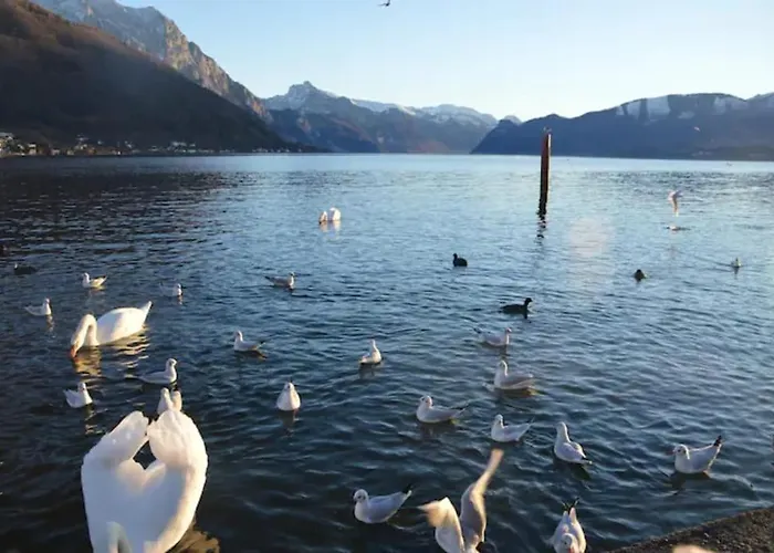 House Flora - At Traunsee 公寓